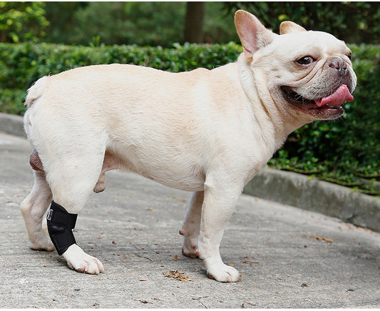 Dog Leg Recovery Brace | Anti-Lick Joint Support Strap | Post-Surgery Wound Protection | S–XL