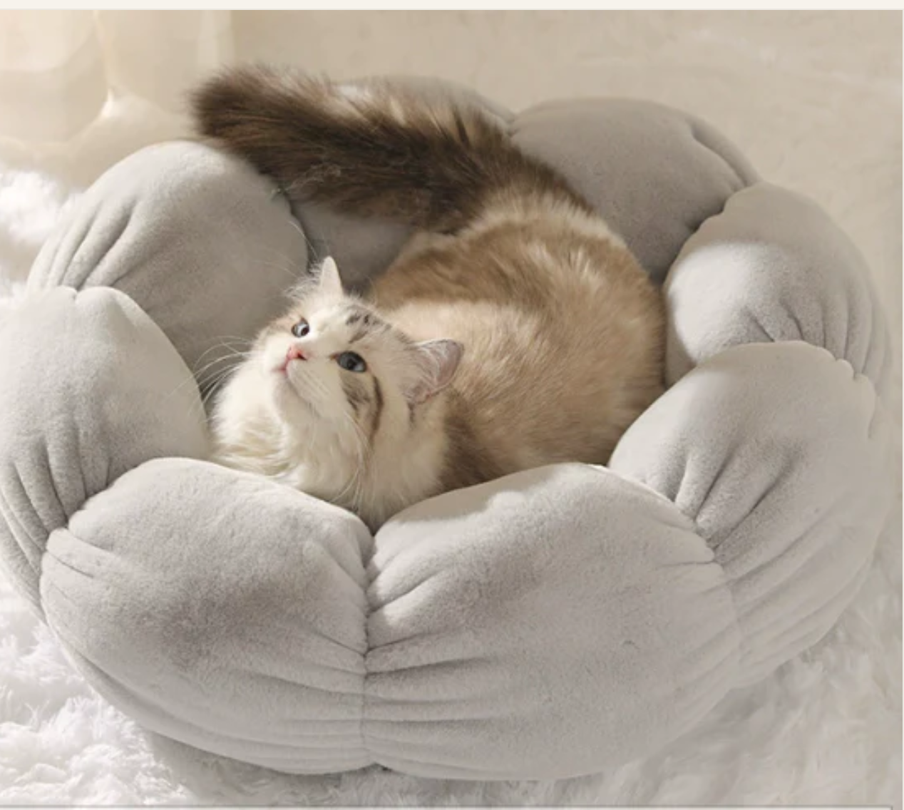 Calming Dog and Cat Bed — Fluffy Pebble Donut Design, Non-Slip Base, Machine Washable, 5 Colours