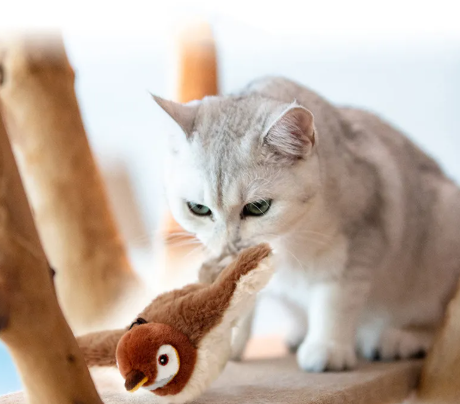 Plush Interactive Pet Toy — Soft Squeaky Animal Design for Cats and Dogs, 5 Characters