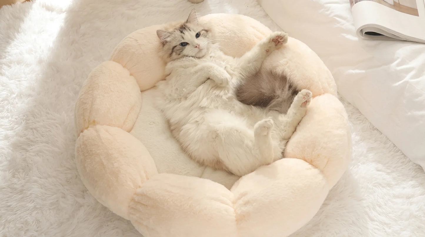 Calming Dog and Cat Bed — Fluffy Pebble Donut Design, Non-Slip Base, Machine Washable, 5 Colours