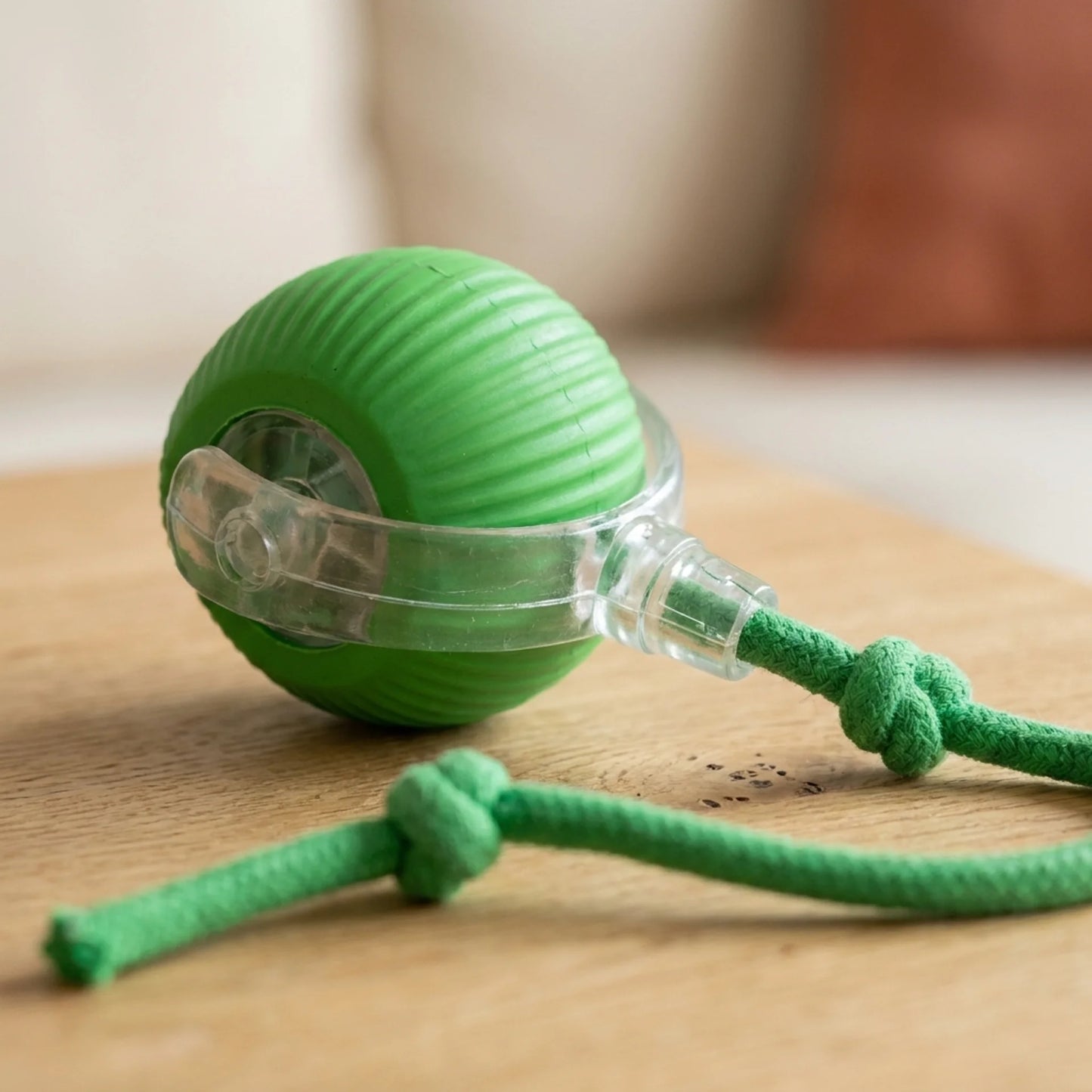 Smart Rolling Pet Ball with Rope — Motion-Activated Interactive Toy for Cats and Dogs, 4 Colours