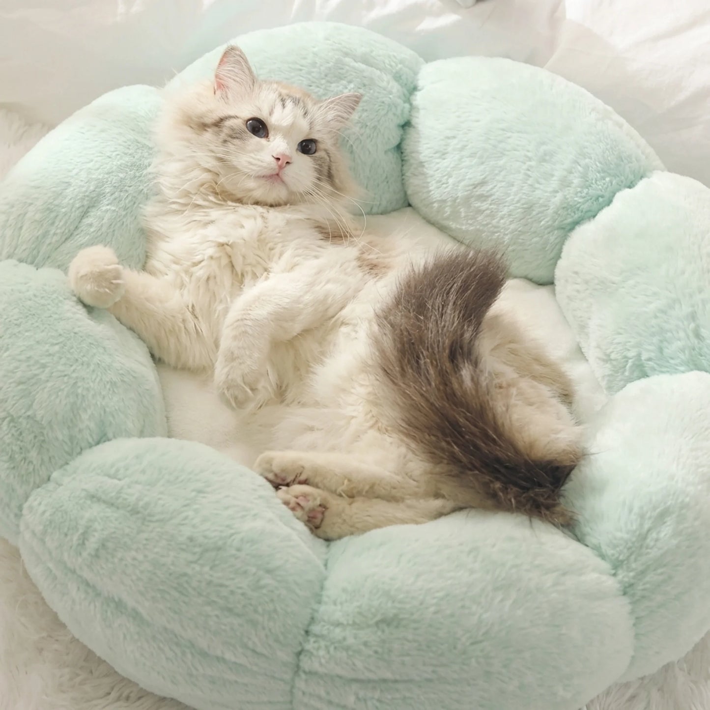 Calming Dog and Cat Bed — Fluffy Pebble Donut Design, Non-Slip Base, Machine Washable, 5 Colours